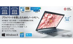 Toshiba Portable 22h