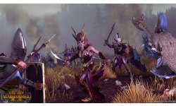 Total War Warhammer II Elfes Noirs (4)