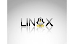 tux linux wallpapers free desktop with the penguin wallpaper 1024x768