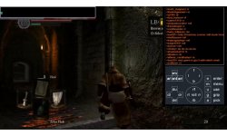 Twitch Plays Dark Souls head