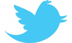 twitter newbird blue