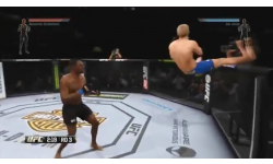 UFC Bug
