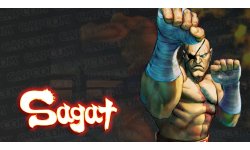 Ultra Street Fighter IV 27.05.2014
