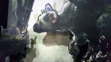 Unboxing The Last Guardian 13