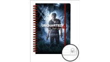 Uncharted-4-A-Thief's-End_14-04-2016_goodies- (2)
