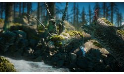 Unravel two images (4)