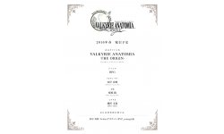 valkyrie anatomia the origin artwork
