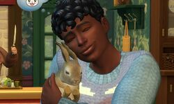 Vie à la campagne Sims 4 Pack Extension (3)