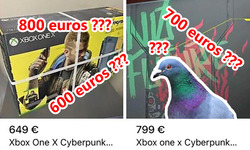 vignette xbox One X Pigeons
