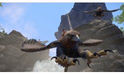 Wander 31 05 2015 screenshot 1
