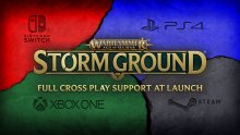 Warhammer Age of Sigmar Storm Ground cross play