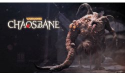 Warhammer Chaosbane image