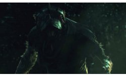 warhammer end times vermintide