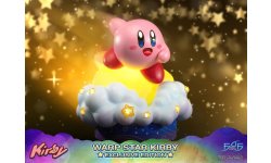 Warp Star Kirby F4F Exclusive (1)
