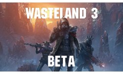 Wasteland 3 beta