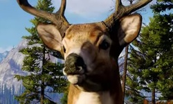 Way of the Hunter Release Trailer