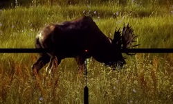 Way of the Hunter Showcase Trailer 2022