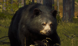 Way of the Hunter02