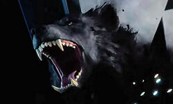 Werewolf The Apocalypse Earthblood images