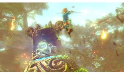 Wii U The Legend of Zelda 10.05.2014 (1)
