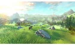 Wii U The Legend of Zelda 10.05.2014 (2)