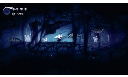 WiiUDS HollowKnight 03