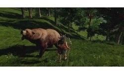 Wild PS4