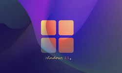 windows 11 illustration v2
