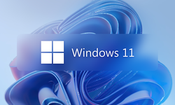 windows 11 illustration