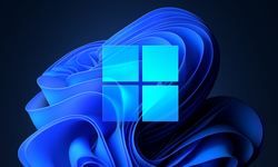 windows illustration 15
