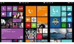 windows phone store large