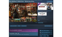 Witcher 3 Wild Hunt DLC Extension Blood Wine Date Sortie Steam