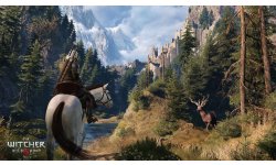 witcher 3 wild hunt image cerf 22 03 15