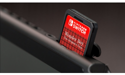 Wonder Boy Dragon Trap Switch