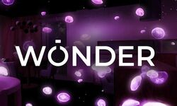 Wonder Quest 3