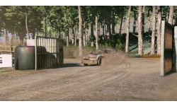 WRC 5 Polo R