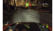 WRC 5 screenshots captures ecran (4)