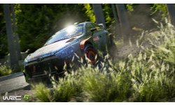WRC 6 08 2016 screenshot (3)