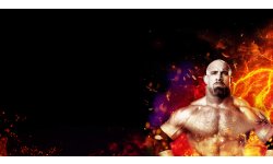 WWE 2K17 banner