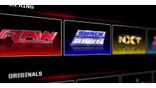 WWE Network (2)