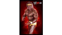 WWE2K15 Hulk Hogan