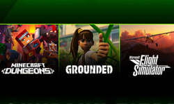 Xbox Game Studios Chiffres 2020