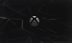 Xbox logo silver head banner 2015