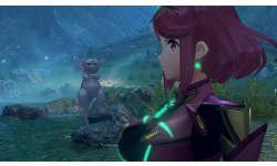Xenoblade Chronicles 2 10