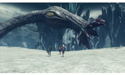 Xenoblade Chronicles X 15.01.2014 (9)