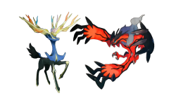 xerneas yveltal pokémon