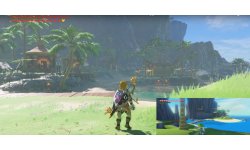 Zelda Breath of the Wild Wind Waker Village Ecaraille Ile Aurora