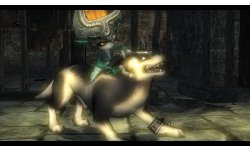 0 The Legend of Zelda Twilight Princess HD (10)