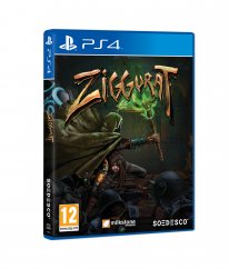 3D Ps4 Pegi ZIGgurat