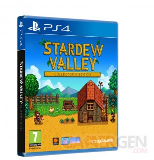 3D PS4 Stardew Valley PEGI